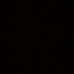 Meet your Posher, Randall